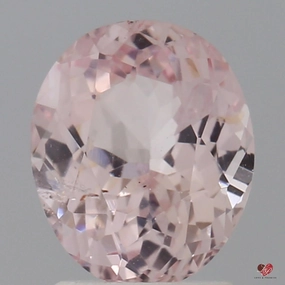 2.10cts Oval Medium Vibrant True Peach Champagne Blush Sapphire