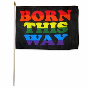 Born This Way 12x18in Stick Flag