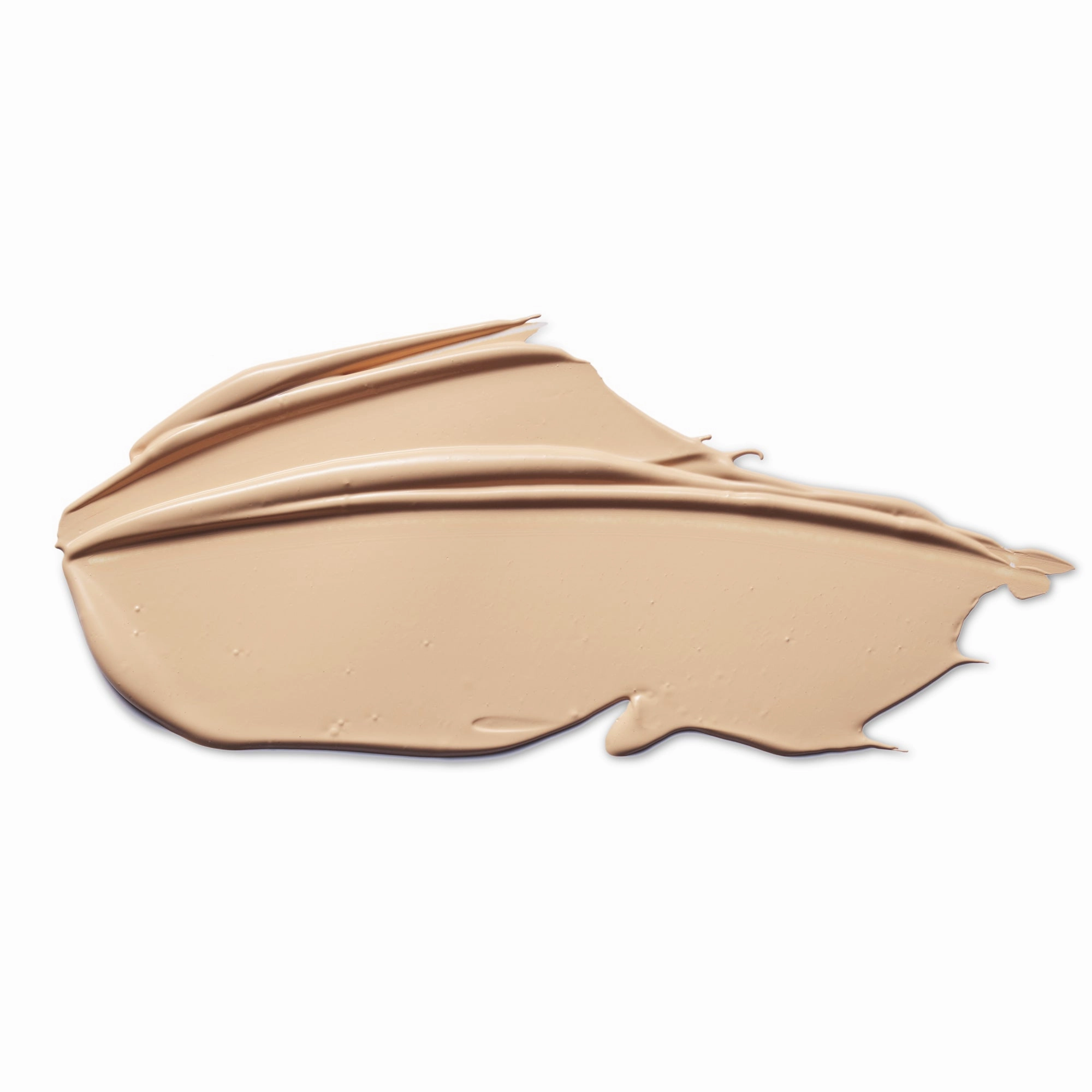 CAMERA FINISH CONCEALER