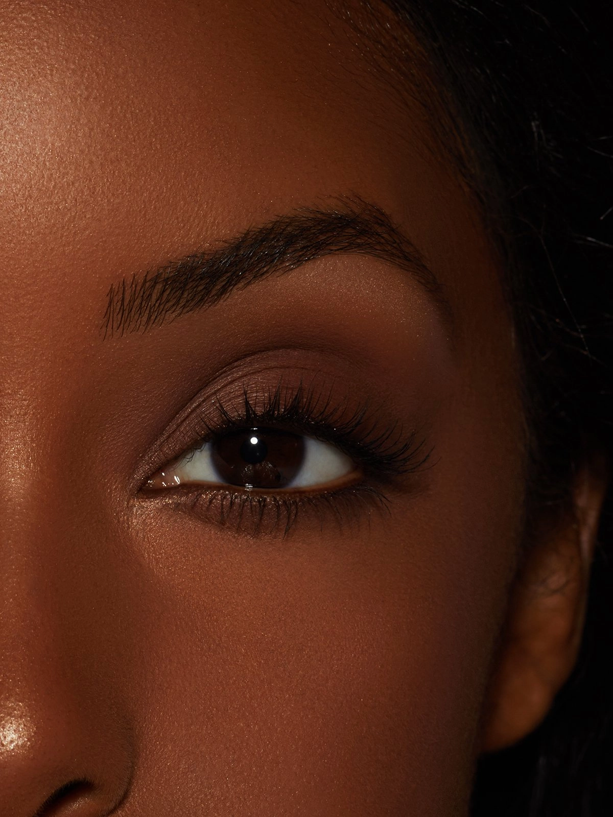 Dark Shimmer | Brow Highlight