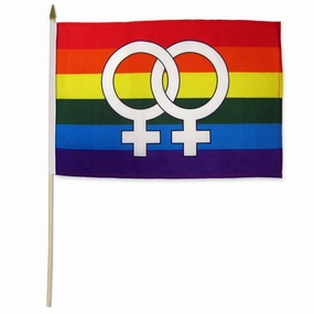 Double Venus Rainbow 12x18in Stick Flag