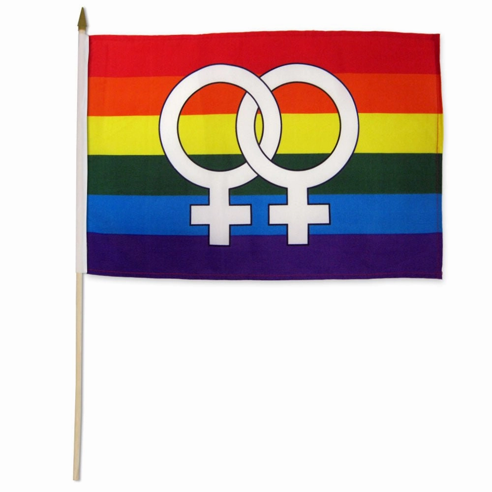 Double Venus Rainbow 12x18in Stick Flag
