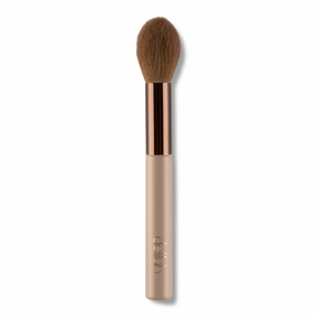 Finishing Brush