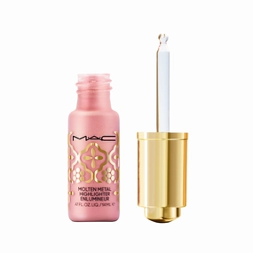 Molten Metal Highlighter / Embroidered Opulence