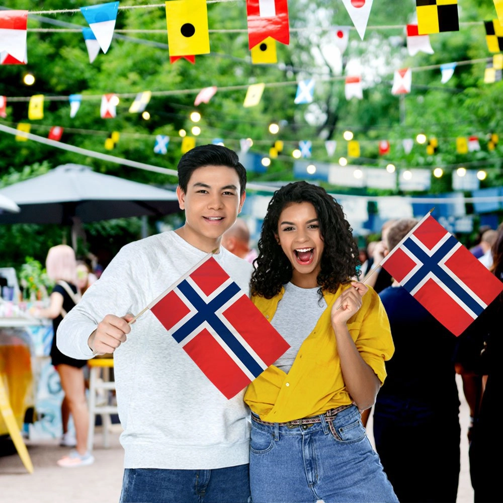 Norway 12x18in Stick Flag