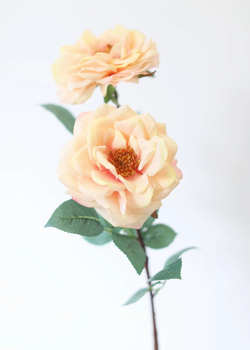 Peach Blush Real Touch Flower Large Open Rose - 27" Tall