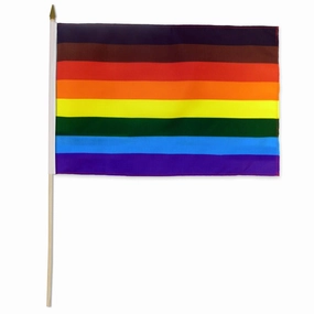 Philly Rainbow 12x18in Stick Flag