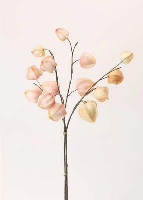 SALE - Soft Blush Pink Fake Chinese Lantern Bundle - 18"
