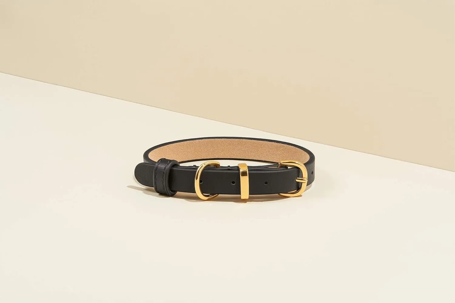 SCAMPER & CO Bronze 18K Yellow Gold Plated Buckle Genuine Leather in Black with Microfiber Bejeweled Round Pave Stud Dog Collar - Luxe Round Stud Detailing Gold Tone Pet Collar for Pet Lovers, 13 inch