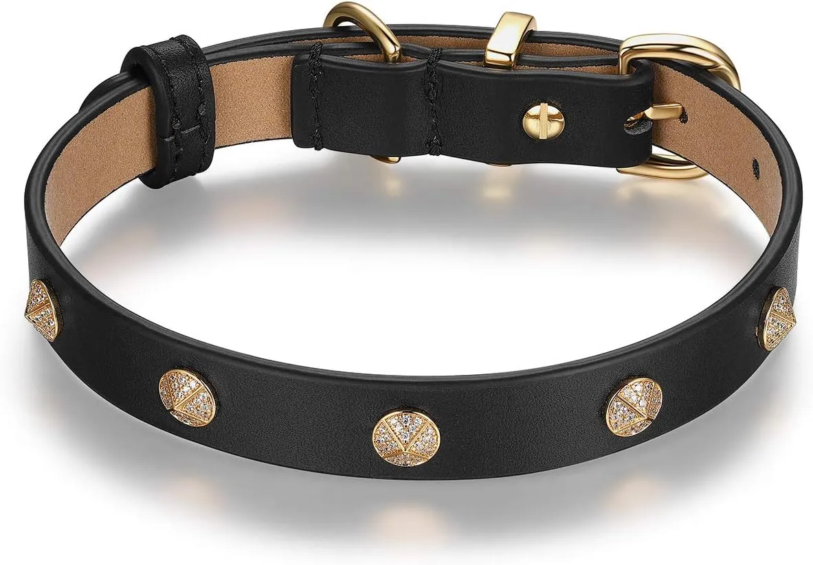 SCAMPER & CO Bronze 18K Yellow Gold Plated Buckle Genuine Leather in Black with Microfiber Bejeweled Round Pave Stud Dog Collar - Luxe Round Stud Detailing Gold Tone Pet Collar for Pet Lovers, 13 inch
