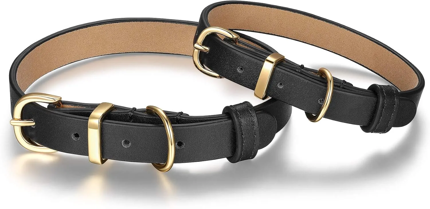 SCAMPER & CO Bronze 18K Yellow Gold Plated Buckle Genuine Leather in Black with Microfiber Bejeweled Round Pave Stud Dog Collar - Luxe Round Stud Detailing Gold Tone Pet Collar for Pet Lovers, 13 inch