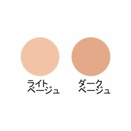 SHISEIDO Qiora D Zone Stick SPF20 PA    Concealer 4gr