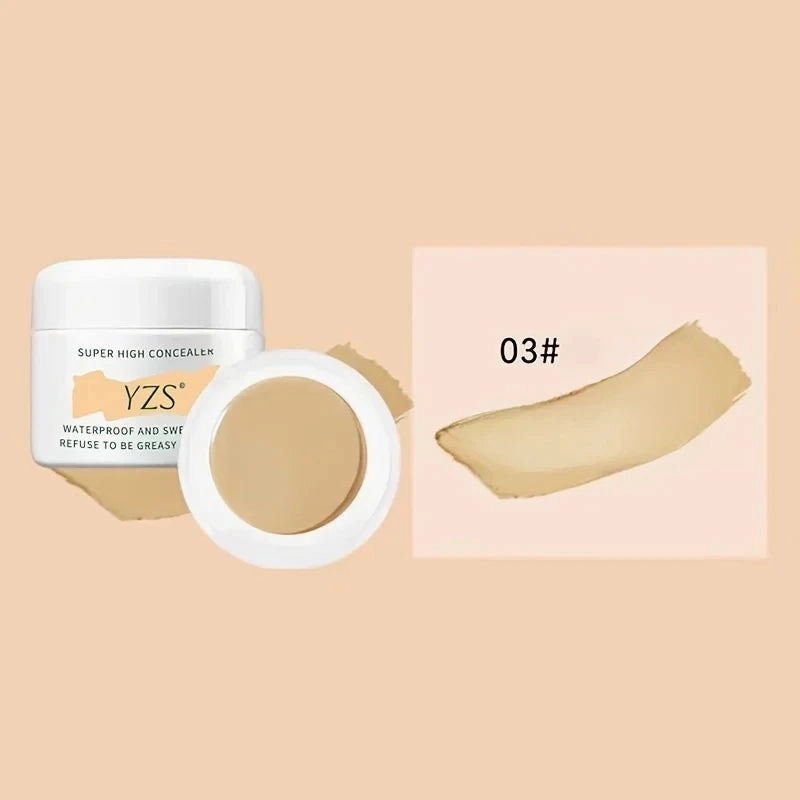 Suit Full Skin Color Concealer