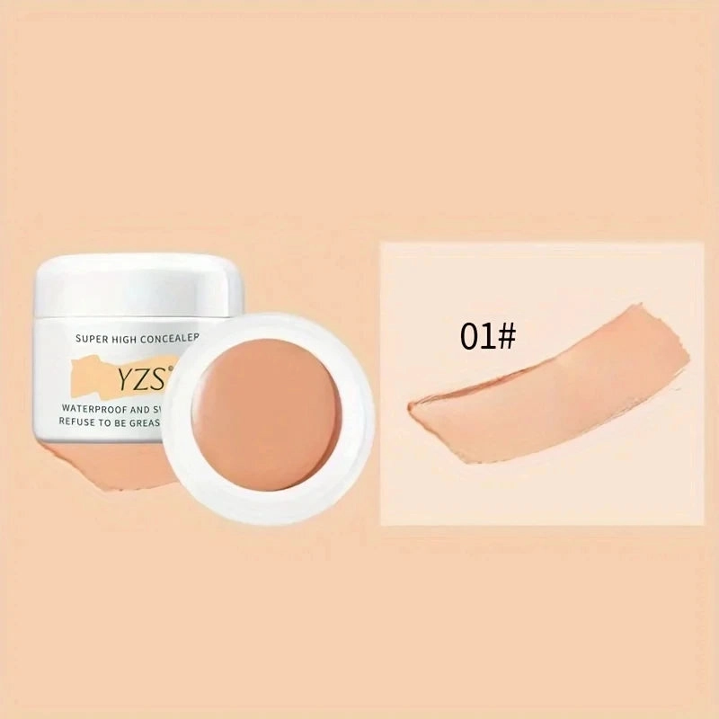 Suit Full Skin Color Concealer