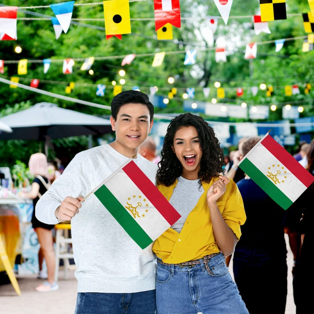 Tajikistan 12x18in Stick Flag