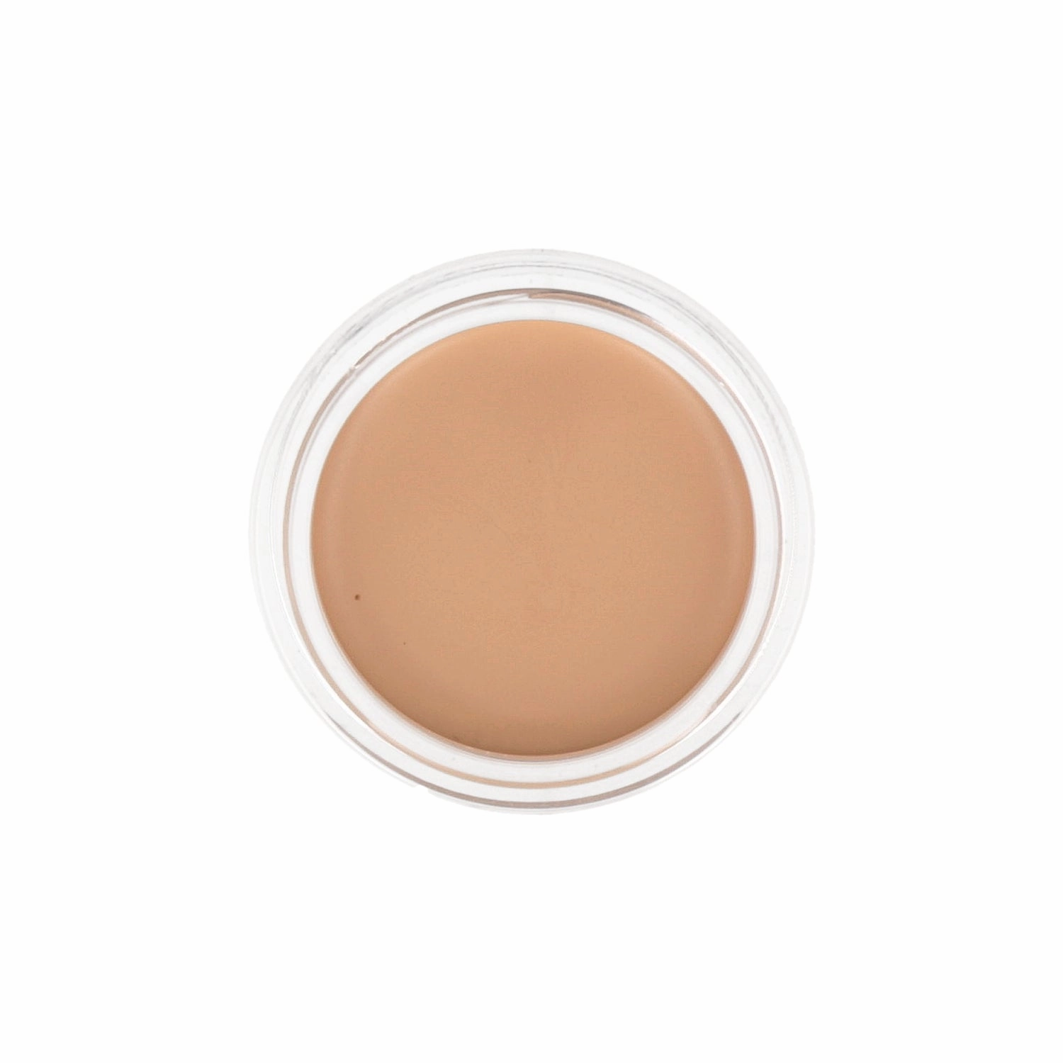the SAEM Cover Perfection Pot Concealer 6g (Renewal)