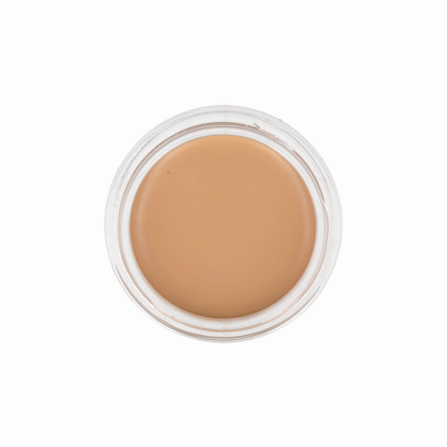 the SAEM Cover Perfection Pot Concealer 6g (Renewal)