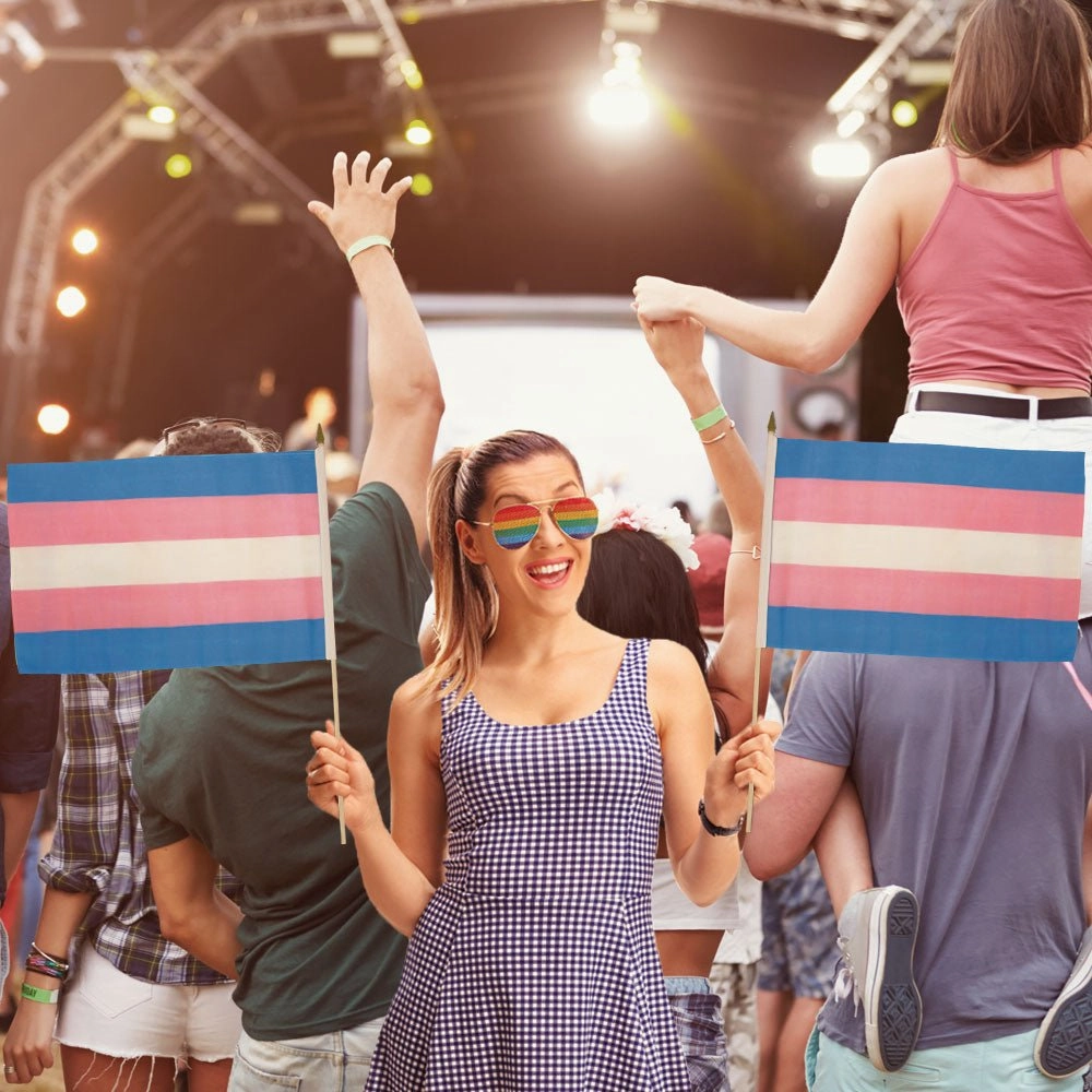 Transgender 12x18in Stick Flag
