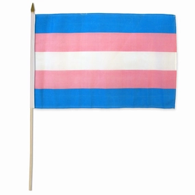 Transgender 12x18in Stick Flag